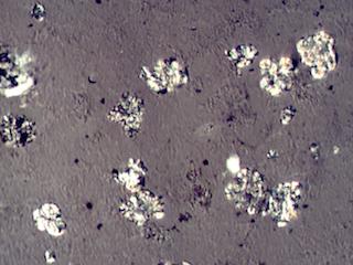 Organic Precipitates