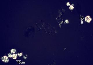 Organic Precipitates