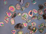 Ocean Sand, Casting Sand