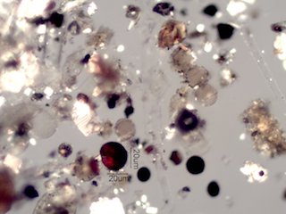 Coal Flyash