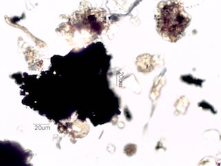 Coal Dust