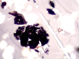 Coal Dust