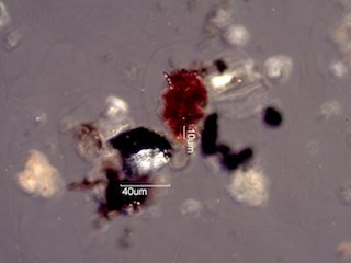 Coal Dust