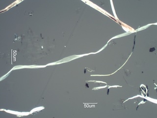 Glass Fiber With Brightfield Illumination