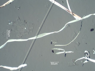 Glass Fiber With Oblique Illumination