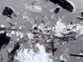 Woolsey Fire Particles