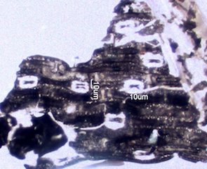 Woolsey Fire Particles