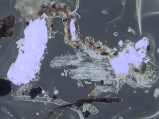 Woolsey Fire Particles