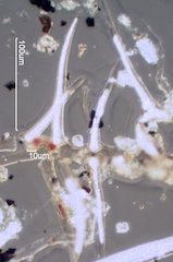 Woolsey Fire Particles