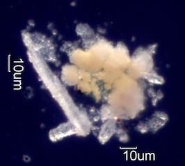 Lead Containing Particles
