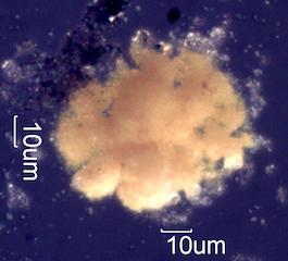 Lead Containing Particles