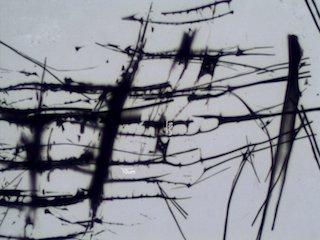 Charred Wood