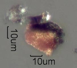 Limonite