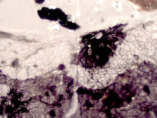 Sand Fire Particles