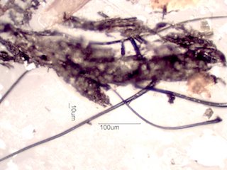 Sand Fire Particles