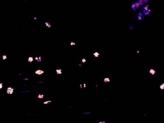 Sand Fire Particles