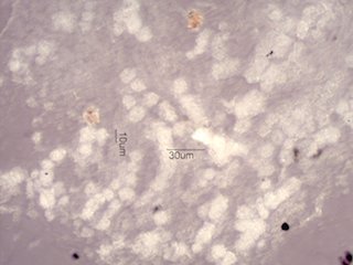 Sand Fire Particles