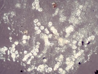Sand Fire Particles