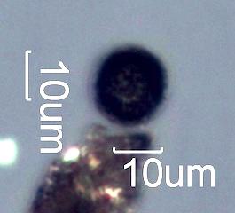 Magnetite Sphere