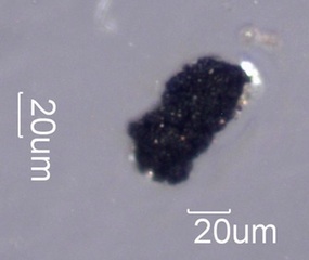 Automobile Tire Wear