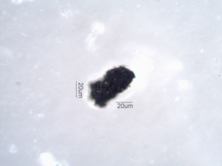 Automobile Tire Wear