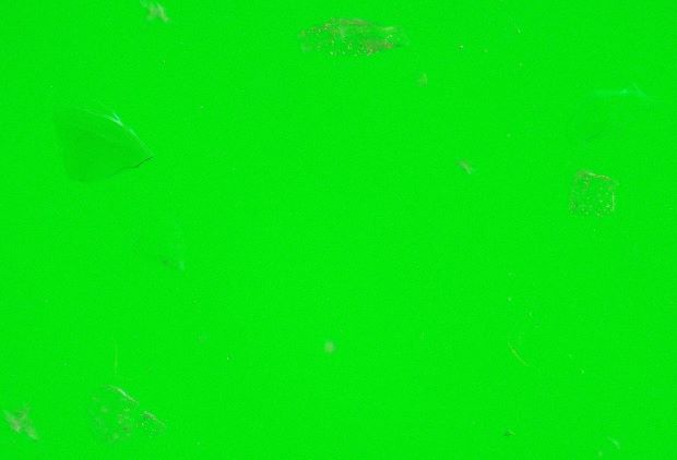 Dispersion Staining, Becke' Line