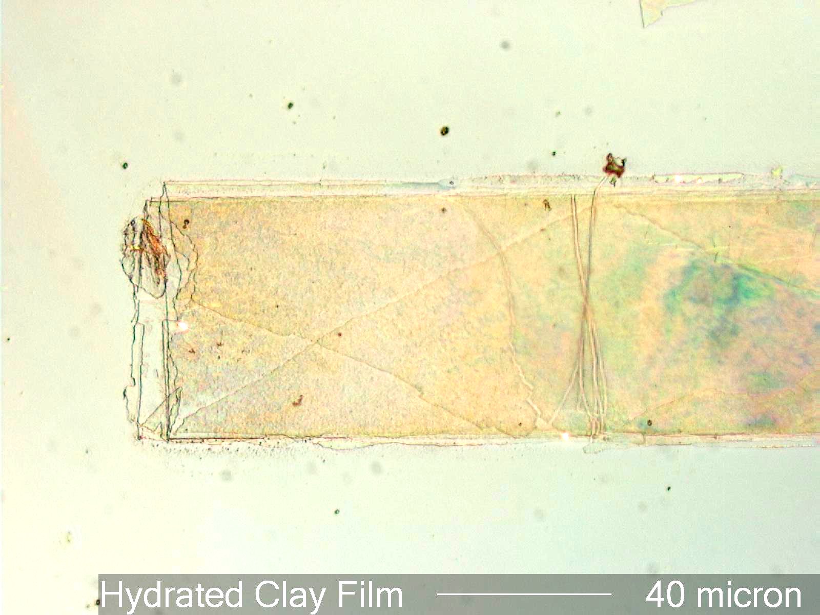 Clay Films