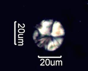 Spherulites