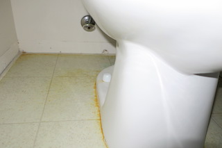 Urine Stains