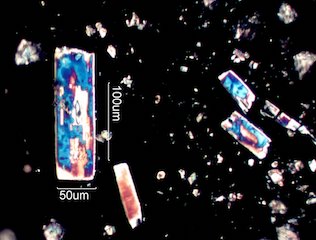 Urea
