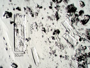 Urea