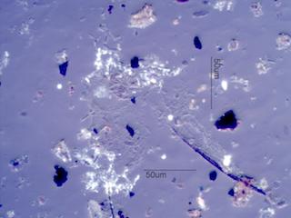 Washington Forestfire Debris