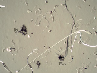 High Hydrocarbon Content Soot