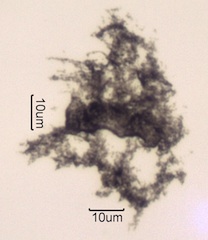 High Hydrocarbon Content Soot