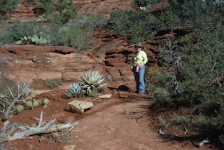 Arizona Chaparral