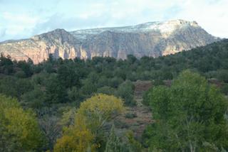 Arizona Chaparral