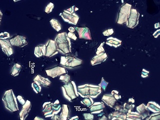 Calcium Oxalate Phytoliths
