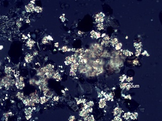 Calcium Oxalate Phytoliths