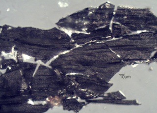 Charred Hardwood