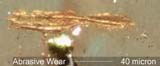 Contact Wear