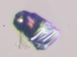 Silicon Carbide