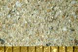 Beach Sand From Abu Dhabi, UAE, Persian Gulf