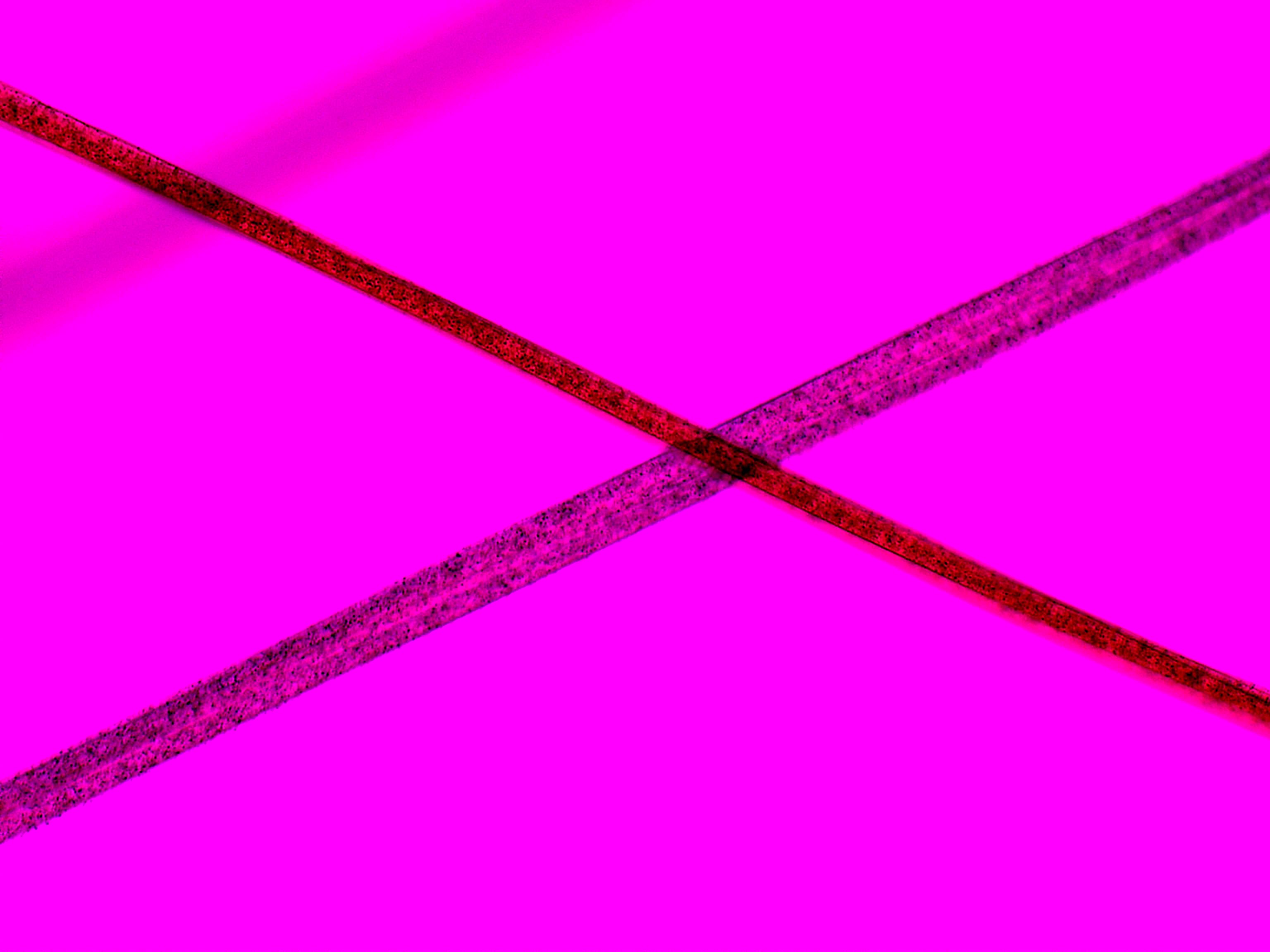 Acetate Fiber