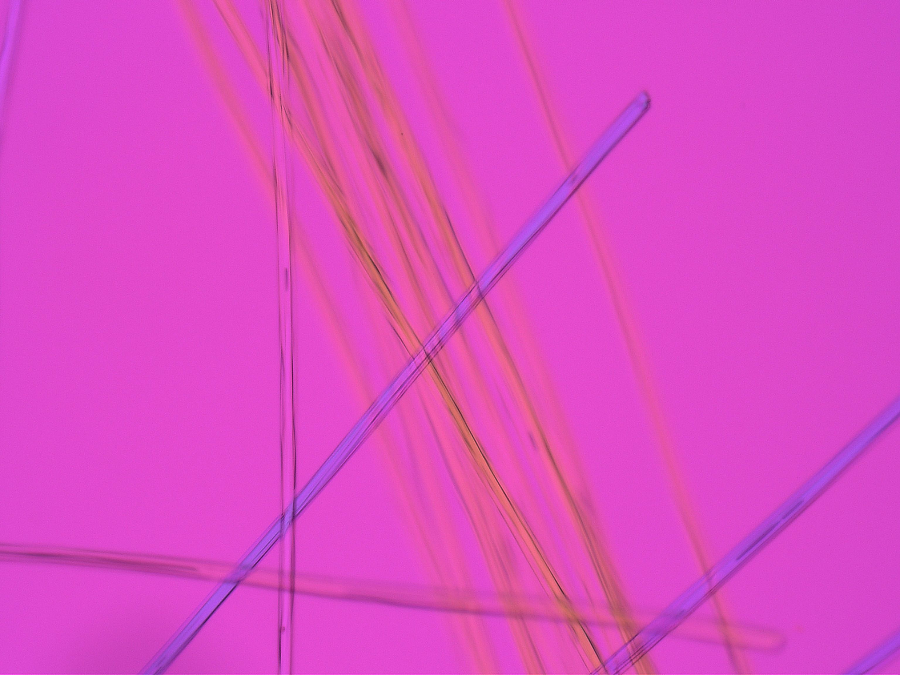 Acetate Fiber