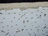 Acoustic Ceiling Tile