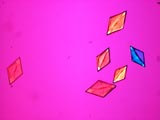 Sulfate