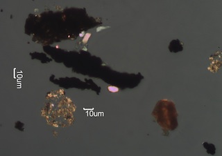 Paint Spheres, Tire Wear, and Other Debris Under the Microscope