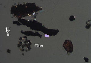 Paint Spheres, Tire Wear, and Other Debris Under the Microscope