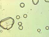 Cesium Alum Test for Aluminum