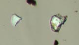 Corundum Abrasive